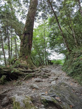  市场波动持续加剧；银行理财资金动作引发关注；业内人士强调防御为主。 股票财经 市场波动持续加剧；银行理财资金动作引发关注；业内人士强调防御为主。 股票财经 市场波动持续加剧；银行理财资金动作引发关注；业内人士强调防御为主。 股票财经