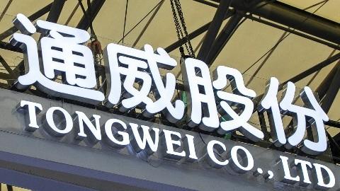  【政策解读】从13%归零：光伏出口退税取消背后的产业变局与破局之道 新闻
