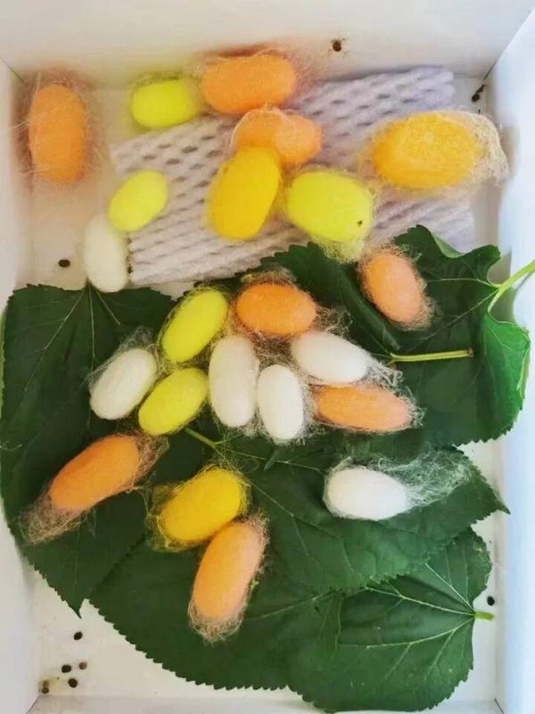  清明·节气到节日的千年演进：唐玄宗才是真正的推手 文化旅游