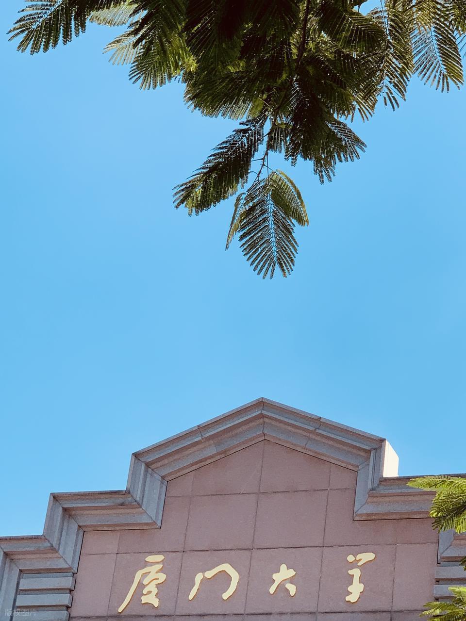  【深度复盘】初试436分为何折戟复试？985高校选拔机制的核心逻辑 教育招生