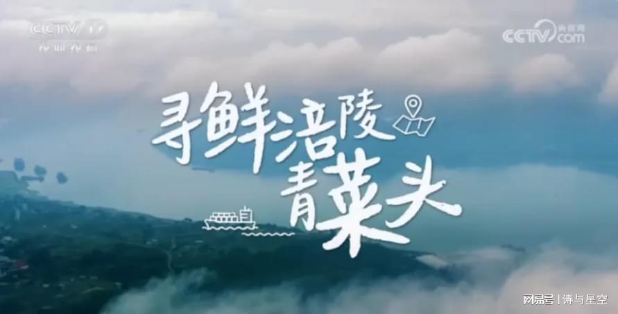 从五毛钱的下饭神器到资本市场的选择题：涪陵榨菜正在经历怎样的中年危机？