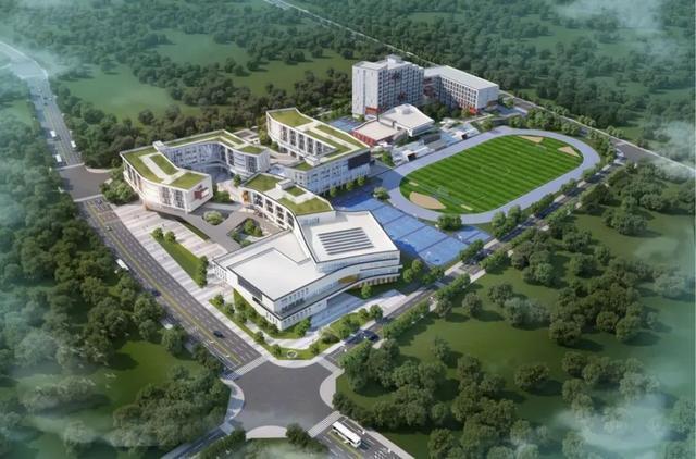  别让孩子输在起跑线：成都新高中来袭，焦虑的家长该何去何从 教育招生