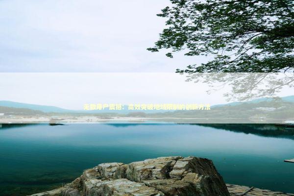 无数用户震撼：高效突破地域限制的创新方法