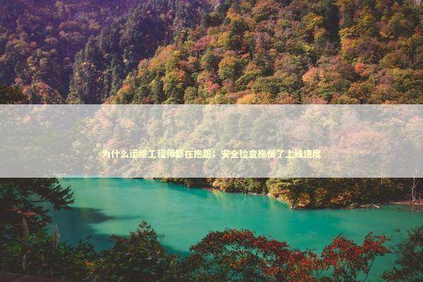 为什么运维工程师都在抱怨：安全检查拖慢了上线速度 IT技术