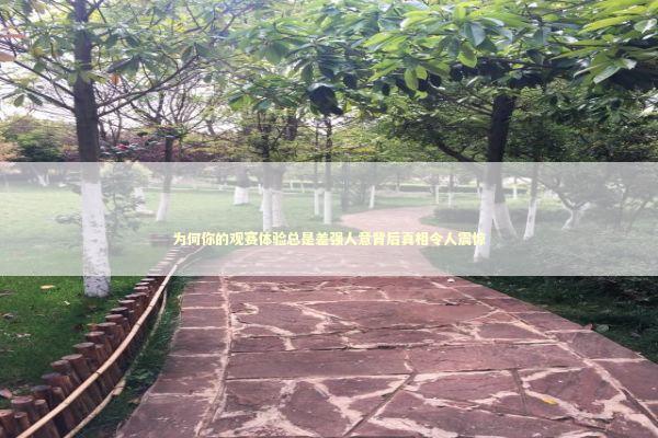 为何你的观赛体验总是差强人意背后真相令人震惊 体育新闻