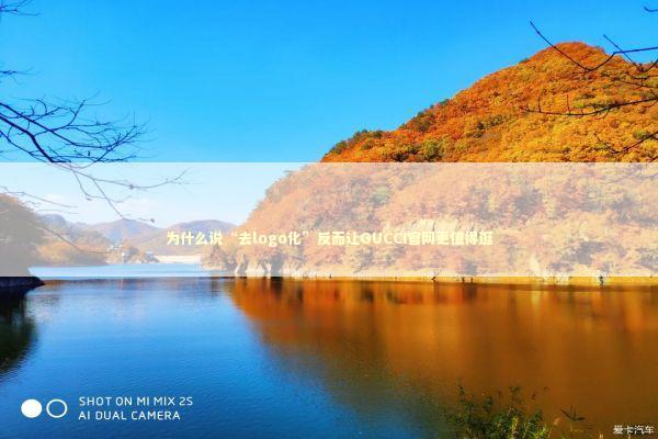 为什么说“去logo化”反而让GUCCI官网更值得逛 时尚用品
