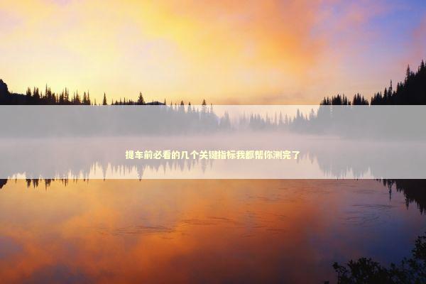 提车前必看的几个关键指标我都帮你测完了 汽车科技