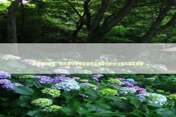 从迷茫到精通：亲历者分享安全软件资源寻找的全过程与真实感悟 IT技术