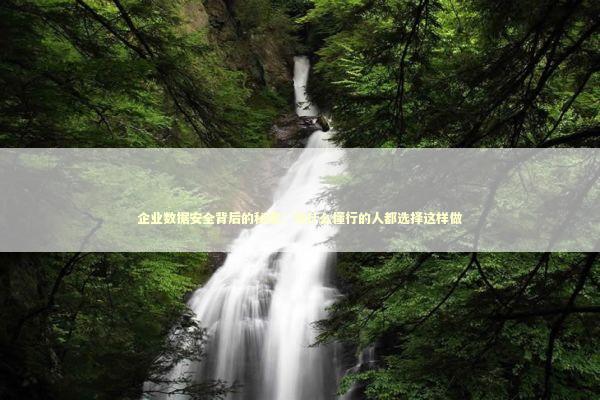 企业数据安全背后的秘密：为什么懂行的人都选择这样做