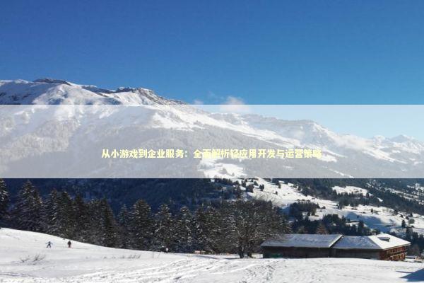 从小游戏到企业服务：全面解析轻应用开发与运营策略 IT技术